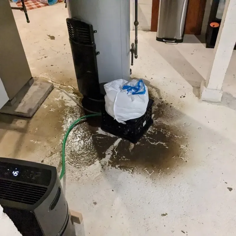 Sewage Backup Cleanup Service in Beeville, TX